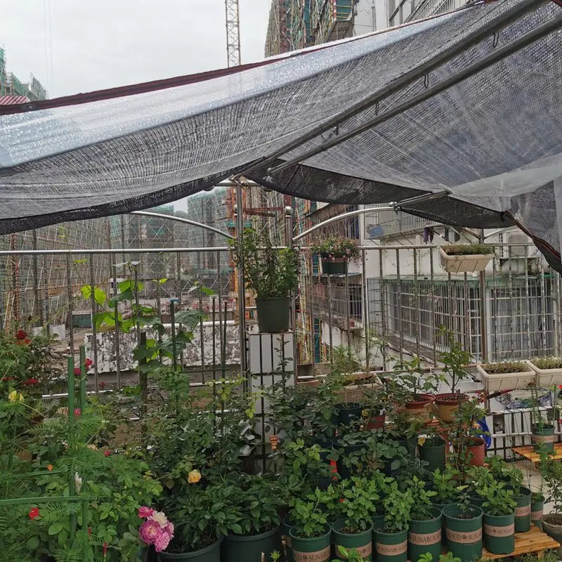 Transparent Plastic Rainproof Film Outdoor Waterproof Tarpaulin Terrace Succulent Plant Insulation Tent Balcony Awning Tarpaulin Innova Techno
