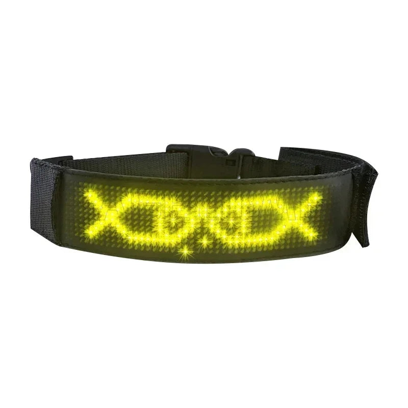 LED Multicolor Display Pet Dog Collars Programmable Multilingual Scrolling Customized Animations Rechargeable Glowing Necklace Innova Techno