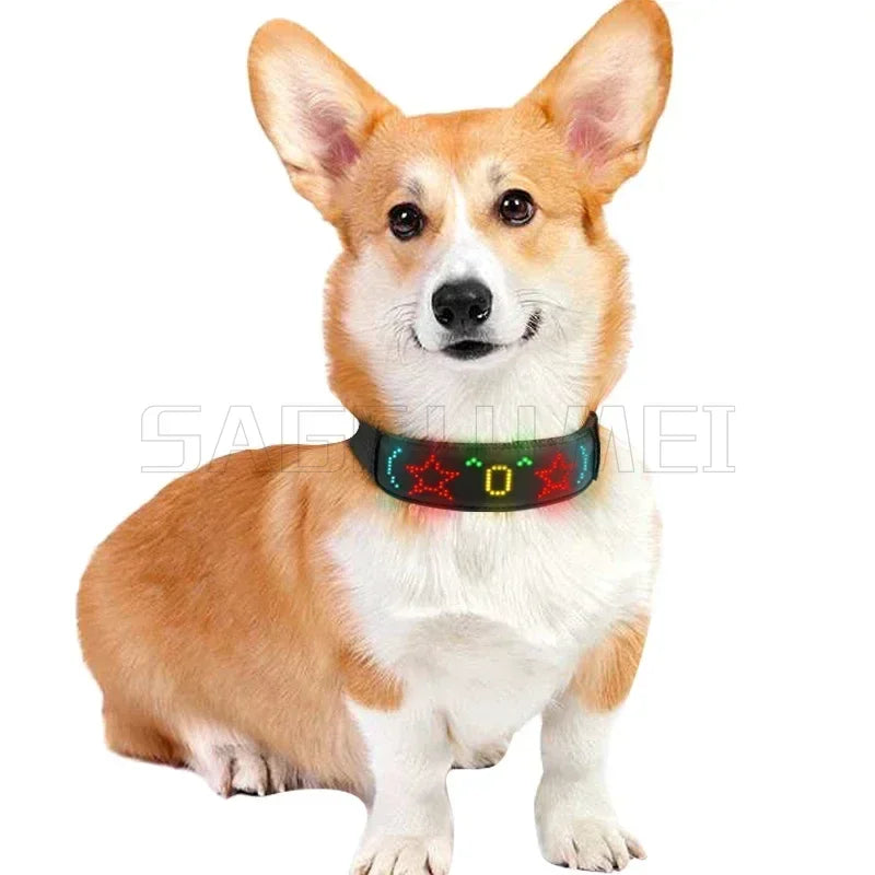 LED Multicolor Display Pet Dog Collars Programmable Multilingual Scrolling Customized Animations Rechargeable Glowing Necklace Innova Techno