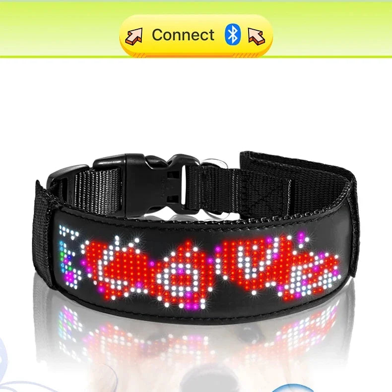 LED Multicolor Display Pet Dog Collars Programmable Multilingual Scrolling Customized Animations Rechargeable Glowing Necklace Innova Techno