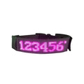 LED Multicolor Display Pet Dog Collars Programmable Multilingual Scrolling Customized Animations Rechargeable Glowing Necklace Innova Techno