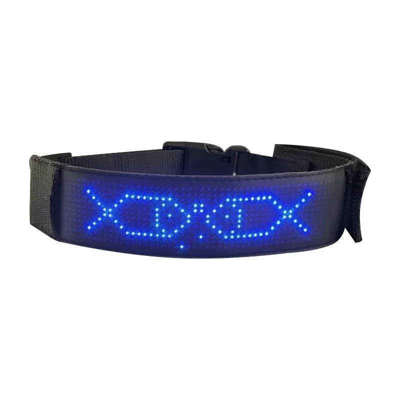 LED Multicolor Display Pet Dog Collars Programmable Multilingual Scrolling Customized Animations Rechargeable Glowing Necklace Innova Techno
