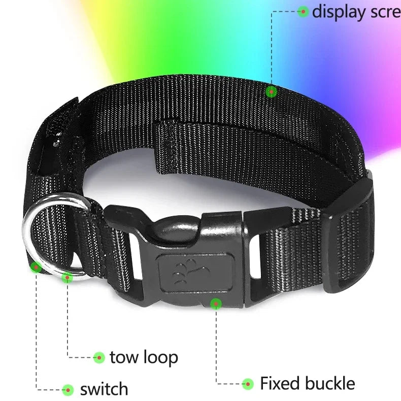 LED Multicolor Display Pet Dog Collars Programmable Multilingual Scrolling Customized Animations Rechargeable Glowing Necklace Innova Techno